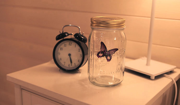 蝴蝶罐 创意浪漫礼物