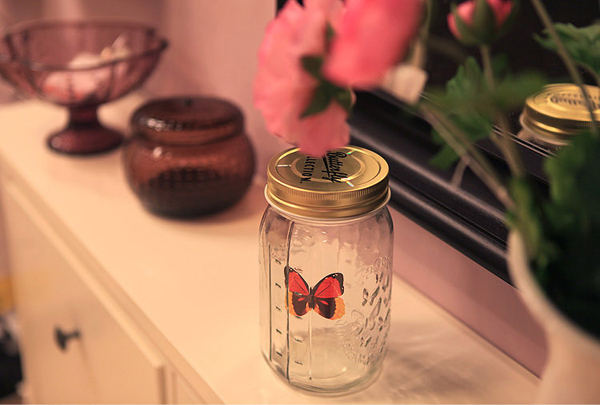 蝴蝶罐 创意浪漫礼物