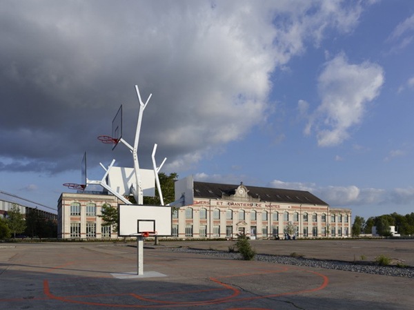 有爱的多篮球框的篮球树（二）