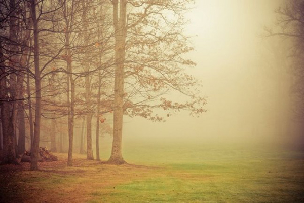 迷雾美景如诗如画