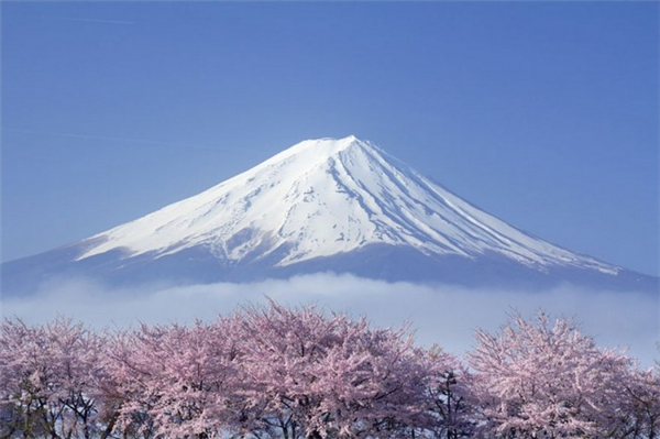 来自世界各地的樱花胜景（十一）