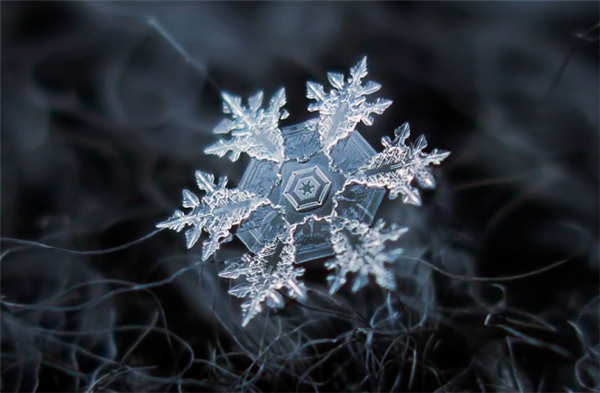 绝美的微距雪花