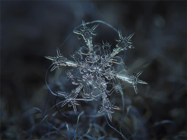 绝美的微距雪花（三）