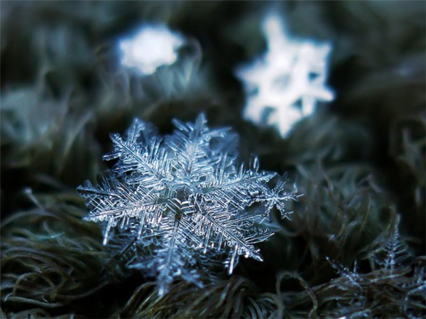 绝美的微距雪花（十三）