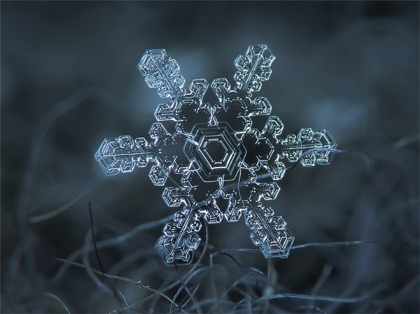 绝美的微距雪花（十四）