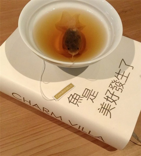 很有意思的金鱼茶包（七）