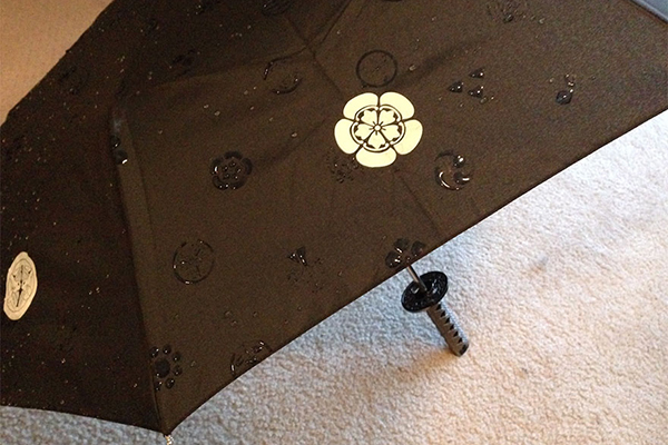魔法雨伞（二）
