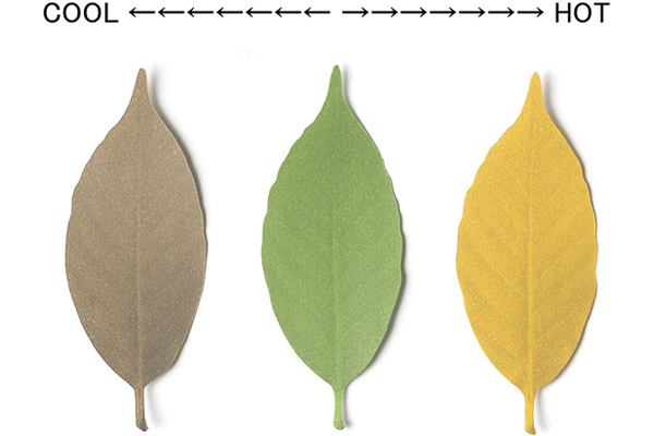 Leaf Thermometer 温度计（三）