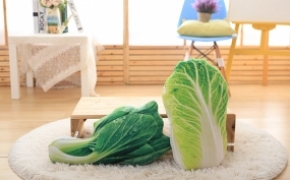仿真蔬菜抱枕的创意设计